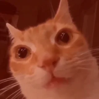 😡