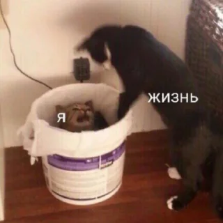 🤨