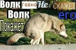 🤔