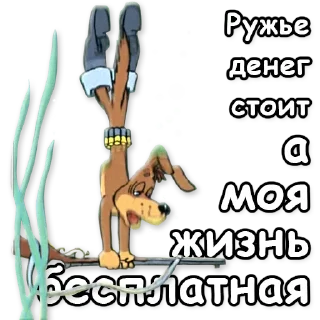🐶