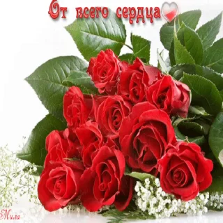 🌹