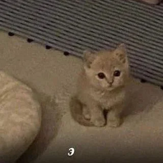 😶