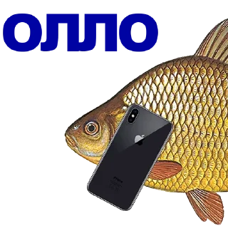 🐠