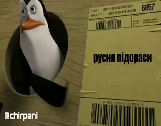 🐧