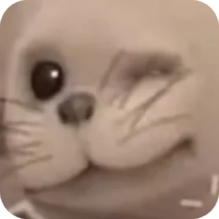 😉