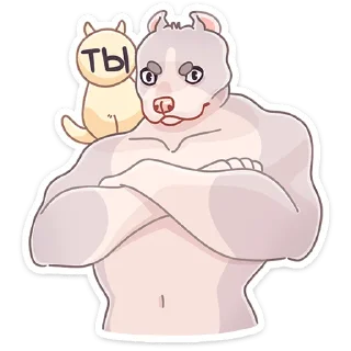 🐶