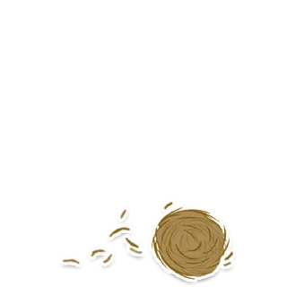 💩
