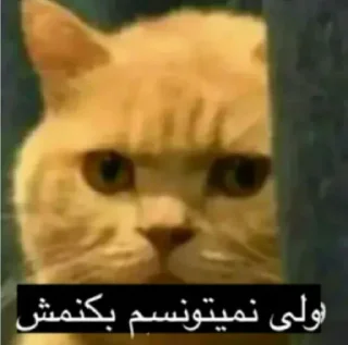 😐
