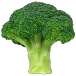 🌱