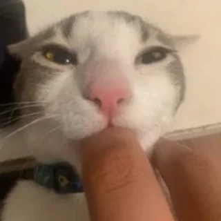 🤫