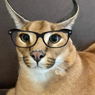 🤓
