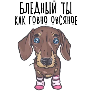🤐