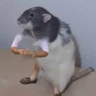 🤨