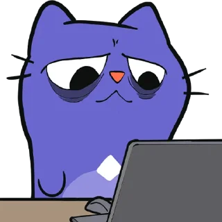 🧑‍💻