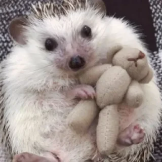 🧸