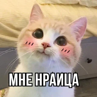 😍