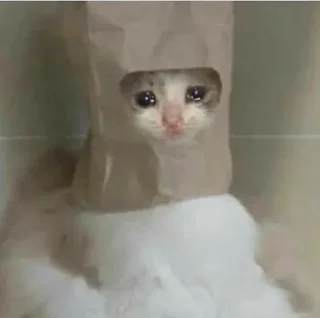 🥺