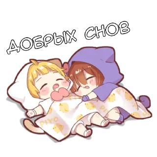 💤