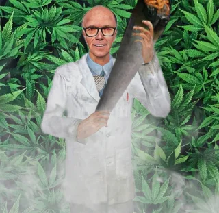 🌿