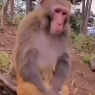 😷