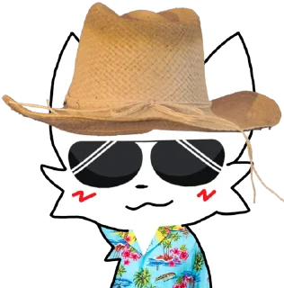 😎