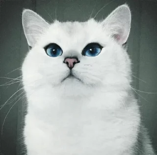 💙