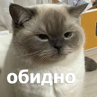 😒