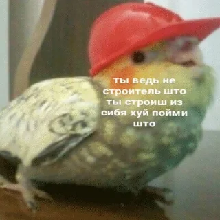 🤔