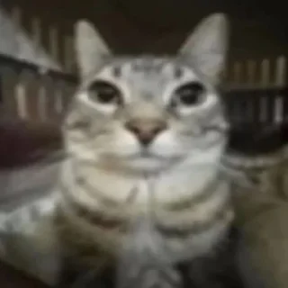 😐