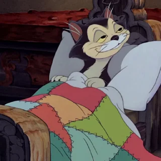 😴