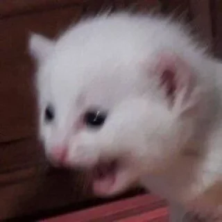 😱