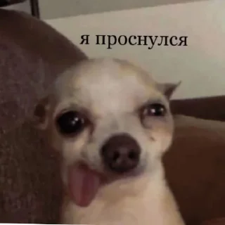 😴