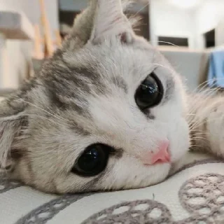 😍