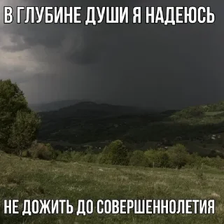 🧂