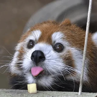 😛