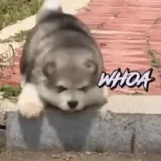😳