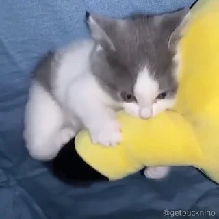 👿