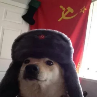 🇷🇺