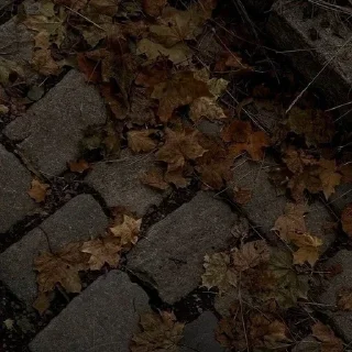 🍂