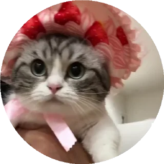 🍓
