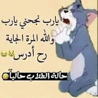 🥺