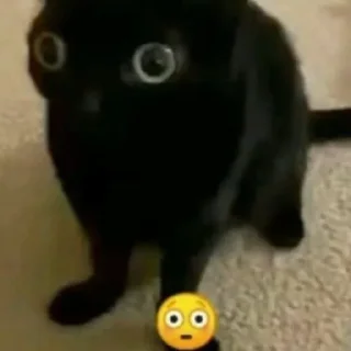 😳