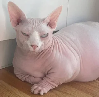 🤨
