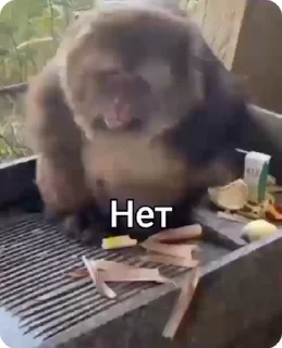 🚫