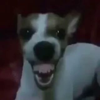 😄