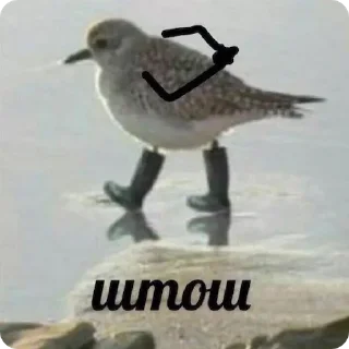 😑