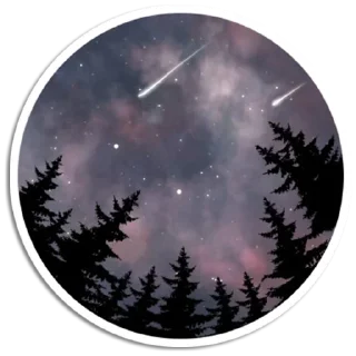 ✨