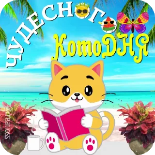 Котик @creatioss 😻