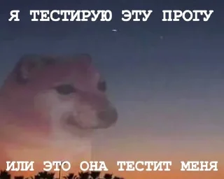 🌟