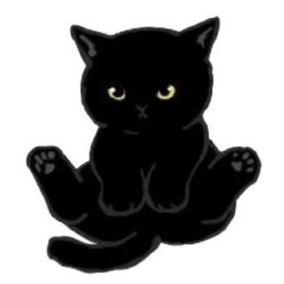 🐱